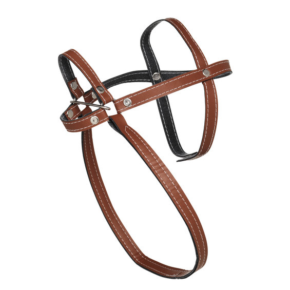 Träns brun till käpphäst